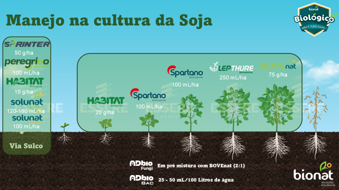 Soja